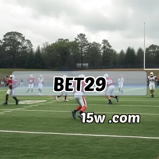 bet29.com: Apostas Ao Vivo que Transformam Sua Experiência de Jogo